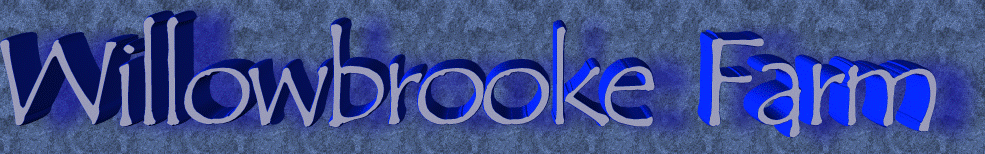 Willowbrooke logo